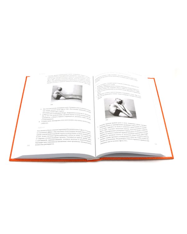 Йога Дипика: прояснение йоги; Свет жизни: йога. Путешествие к цельности, внутреннему спокойствию и наивысшей свободе (комплект из 2-х книг)