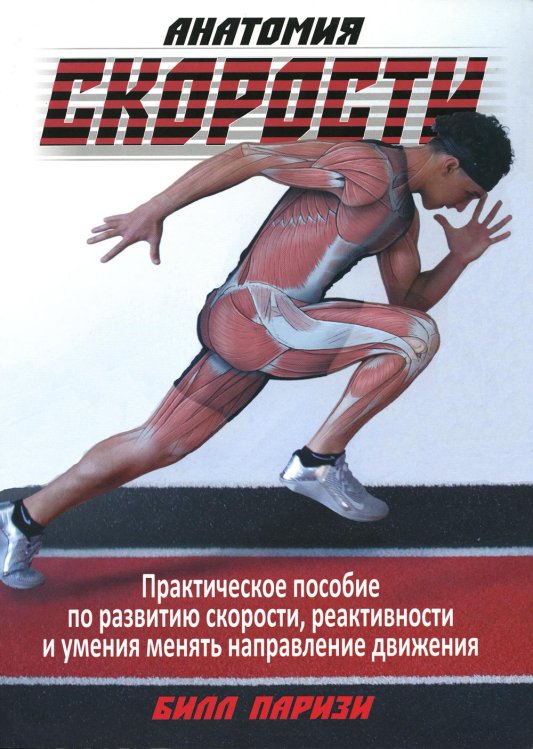 Анатомия скорости Анатомия скорости