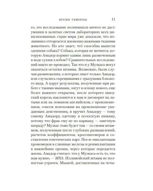 Время тишины: роман