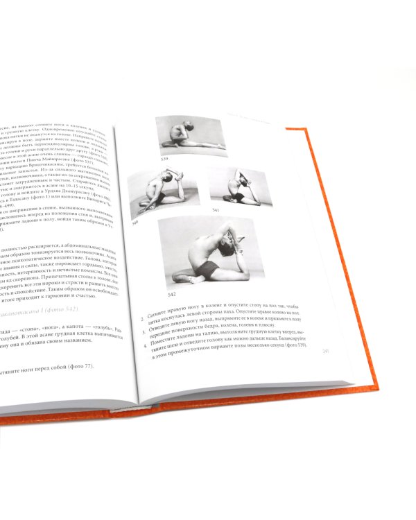 Йога Дипика: прояснение йоги; Свет жизни: йога. Путешествие к цельности, внутреннему спокойствию и наивысшей свободе (комплект из 2-х книг)