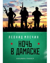Ночь в Дамаске: роман