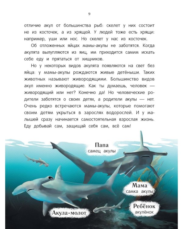Китенок? Теленок! Водоплавающие семьи: факты и игры