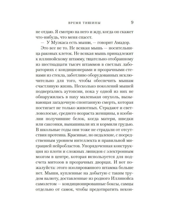 Время тишины: роман