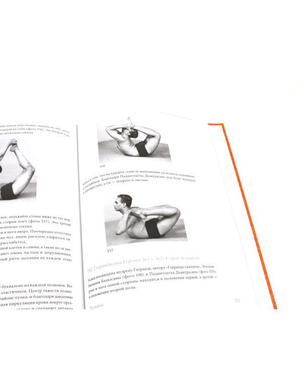 Йога Дипика: прояснение йоги; Свет жизни: йога. Путешествие к цельности, внутреннему спокойствию и наивысшей свободе (комплект из 2-х книг)