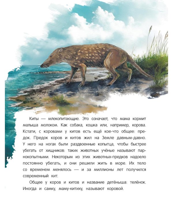 Китенок? Теленок! Водоплавающие семьи: факты и игры