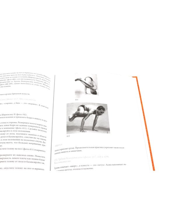 Йога Дипика: прояснение йоги; Свет жизни: йога. Путешествие к цельности, внутреннему спокойствию и наивысшей свободе (комплект из 2-х книг)