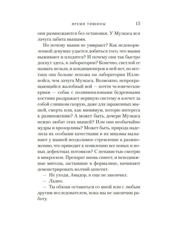 Время тишины: роман