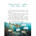 Китенок? Теленок! Водоплавающие семьи: факты и игры