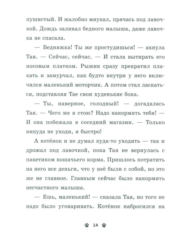 Мяу! Три истории про котят