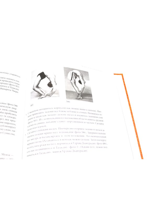 Йога Дипика: прояснение йоги; Свет жизни: йога. Путешествие к цельности, внутреннему спокойствию и наивысшей свободе (комплект из 2-х книг)