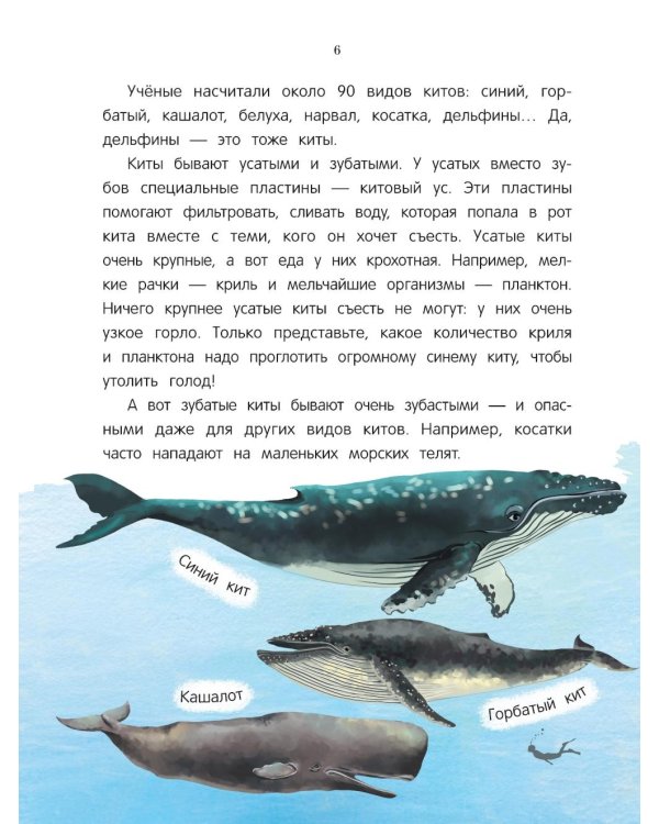 Китенок? Теленок! Водоплавающие семьи: факты и игры