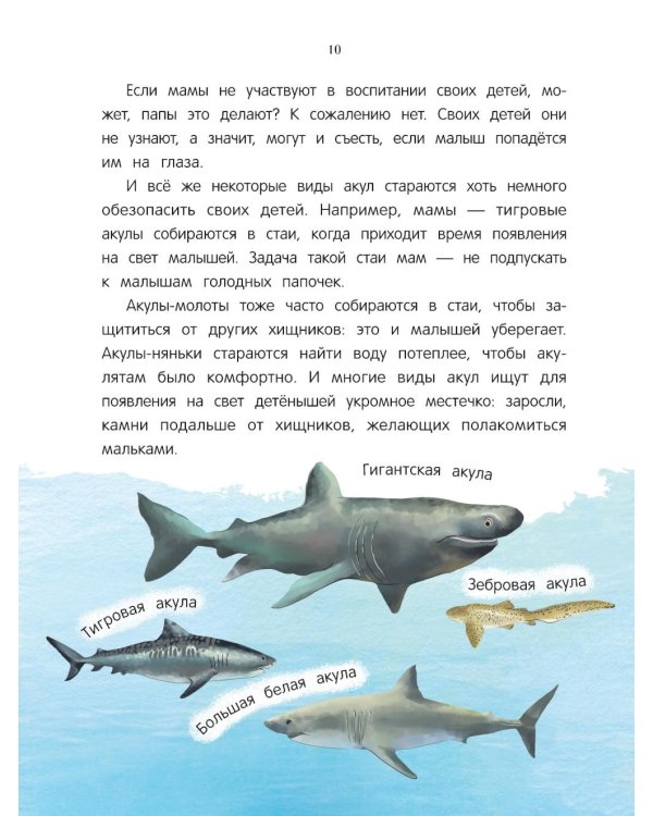 Китенок? Теленок! Водоплавающие семьи: факты и игры