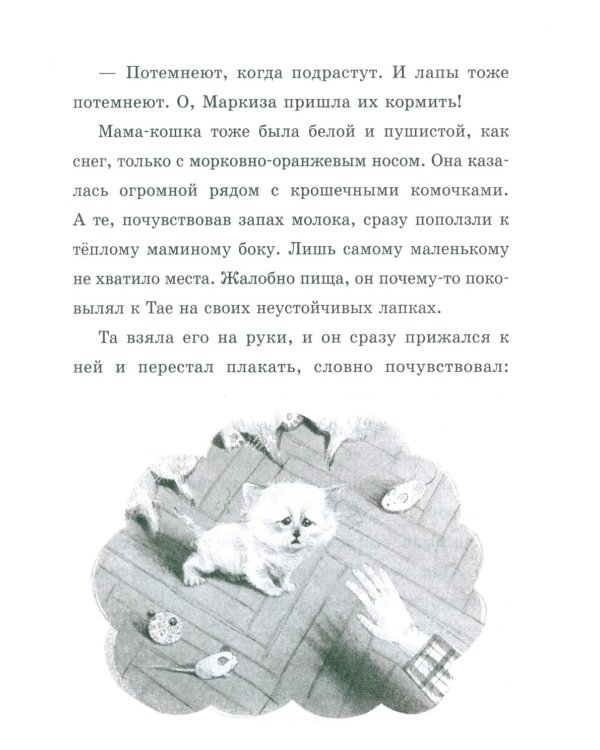 Мяу! Три истории про котят