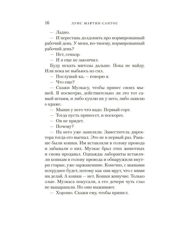 Время тишины: роман