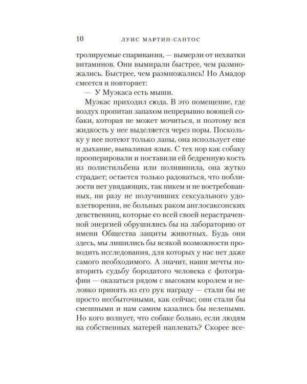 Время тишины: роман