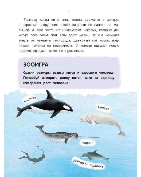 Китенок? Теленок! Водоплавающие семьи: факты и игры