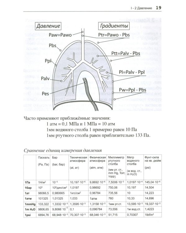 Асинхронии и графика ИВЛ. 4-е изд
