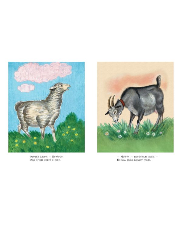 Дополнительное изображение книги «Кто? Как?»