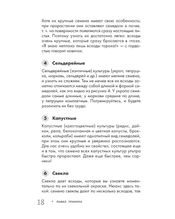 Огород без прополки. Лучшая стратегия в борьбе с сорняками