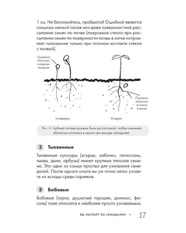 Огород без прополки. Лучшая стратегия в борьбе с сорняками