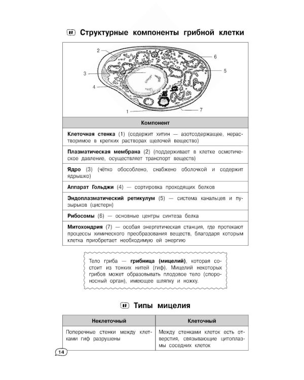 Биология (+ обучающие видео)