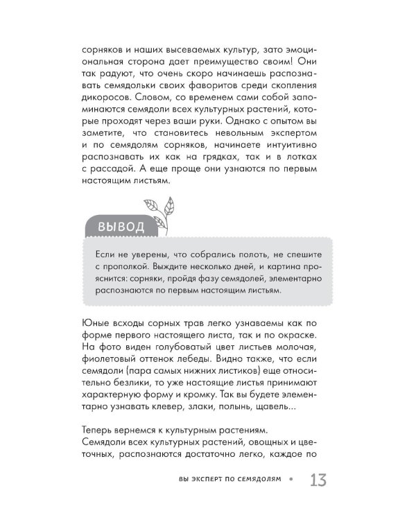 Огород без прополки. Лучшая стратегия в борьбе с сорняками