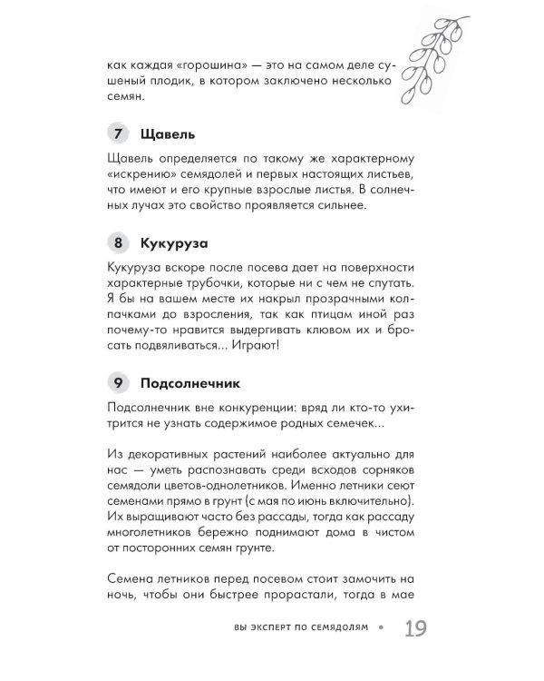 Огород без прополки. Лучшая стратегия в борьбе с сорняками