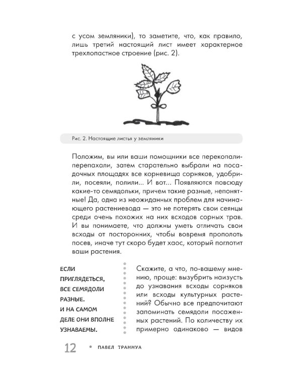 Огород без прополки. Лучшая стратегия в борьбе с сорняками