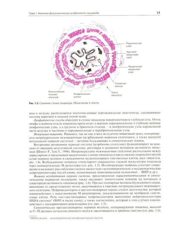 Внутренние болезни. Система органов пищеварения. 7-е изд