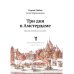 Три дня в Амстердаме. Краткий путеводитель в рисунках