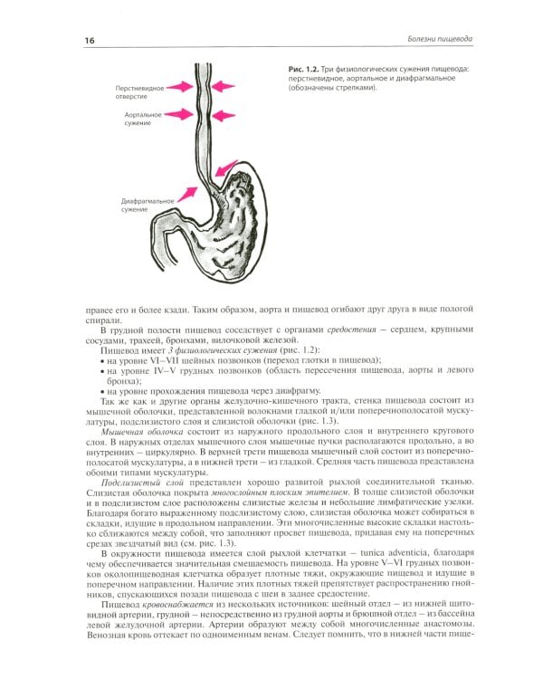 Внутренние болезни. Система органов пищеварения. 7-е изд
