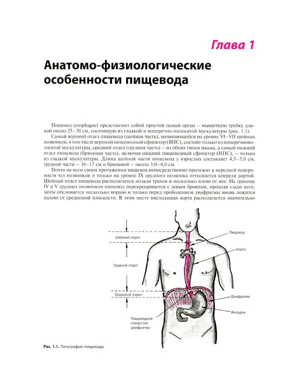 Внутренние болезни. Система органов пищеварения. 7-е изд