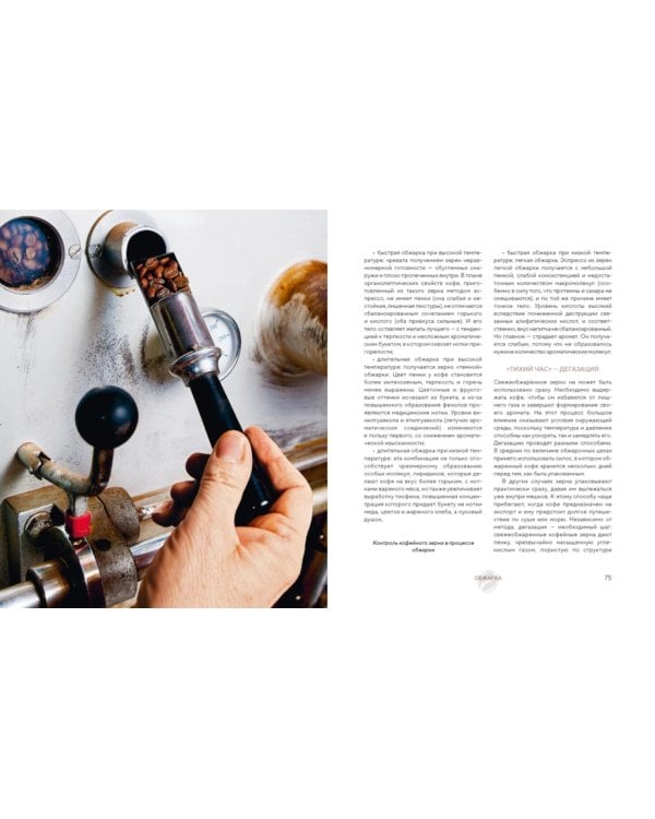 Философия кофе. От зерна до идеального напитка