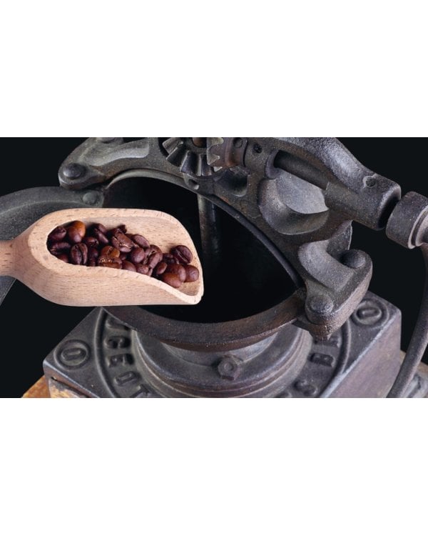 Философия кофе. От зерна до идеального напитка