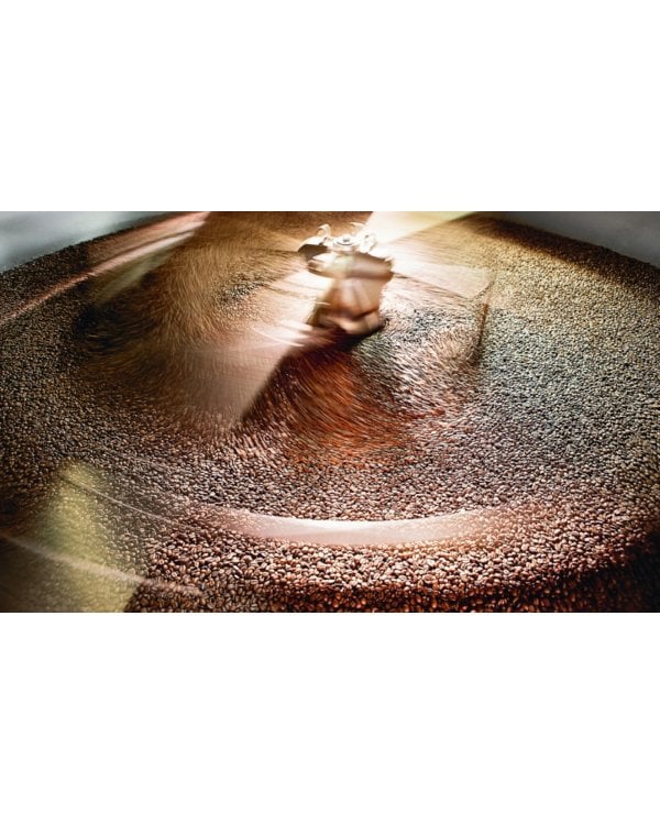 Философия кофе. От зерна до идеального напитка