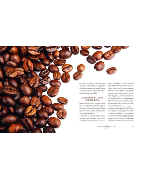 Философия кофе. От зерна до идеального напитка