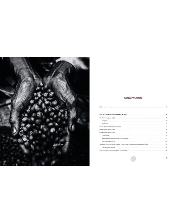 Философия кофе. От зерна до идеального напитка