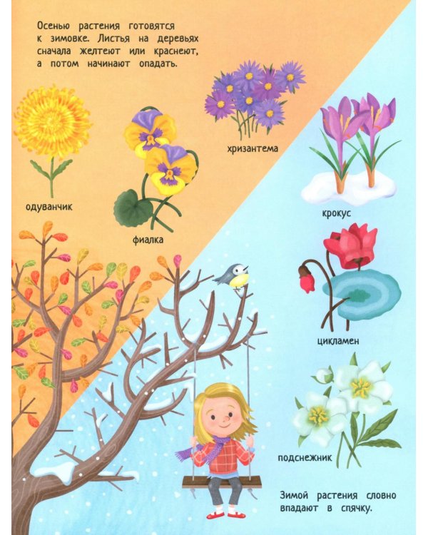 Твой домашний сад: книга идей и развлечений с наклейками