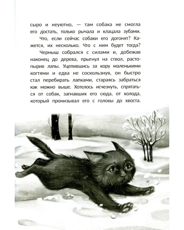 Счастье за дверью. 2-е изд