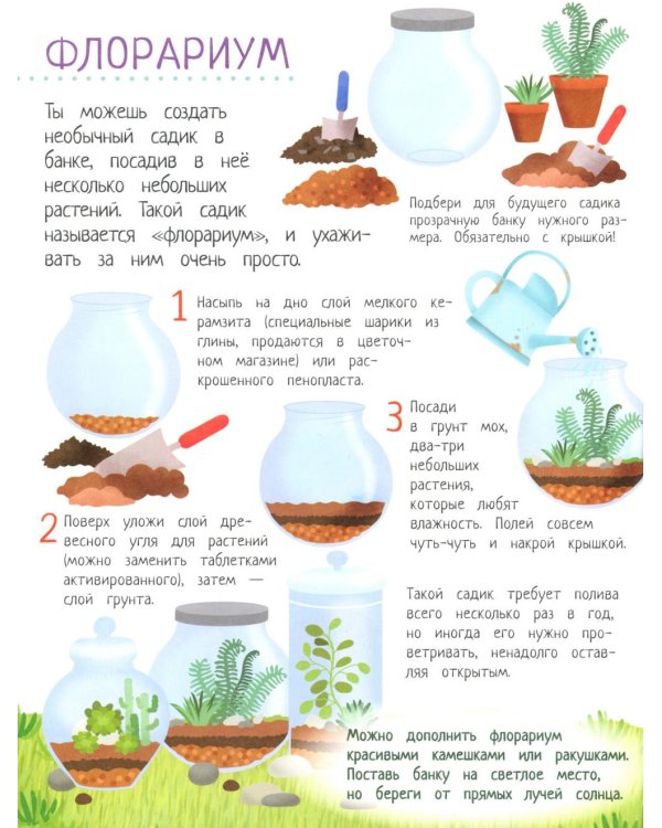 Твой домашний сад: книга идей и развлечений с наклейками