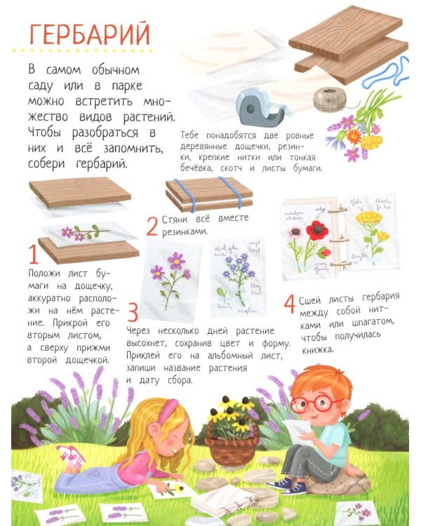 Твой домашний сад: книга идей и развлечений с наклейками