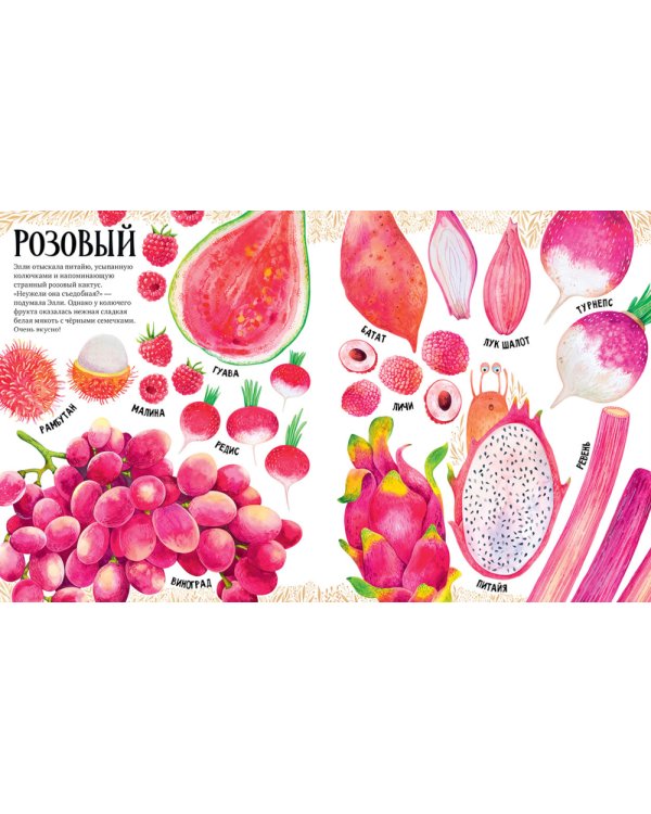 Приключения улитки Элли в мире фруктов и овощей