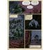 Кольцо Тьмы. Эльфийский клинок. Т. 3: графический роман Кольцо Тьмы. Эльфийский клинок. Т. 3: графический роман