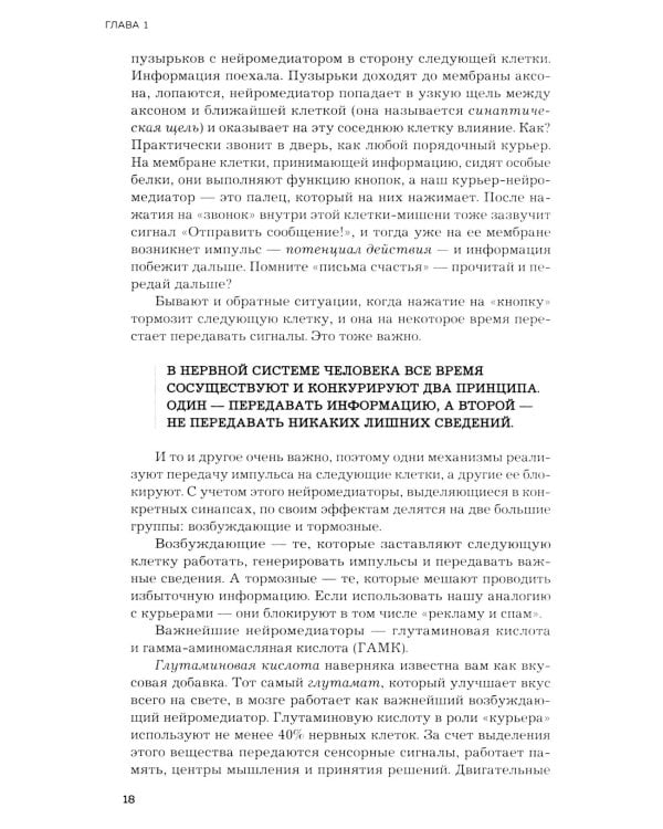 Мозг и его потребности. 2.0 от питания до признания