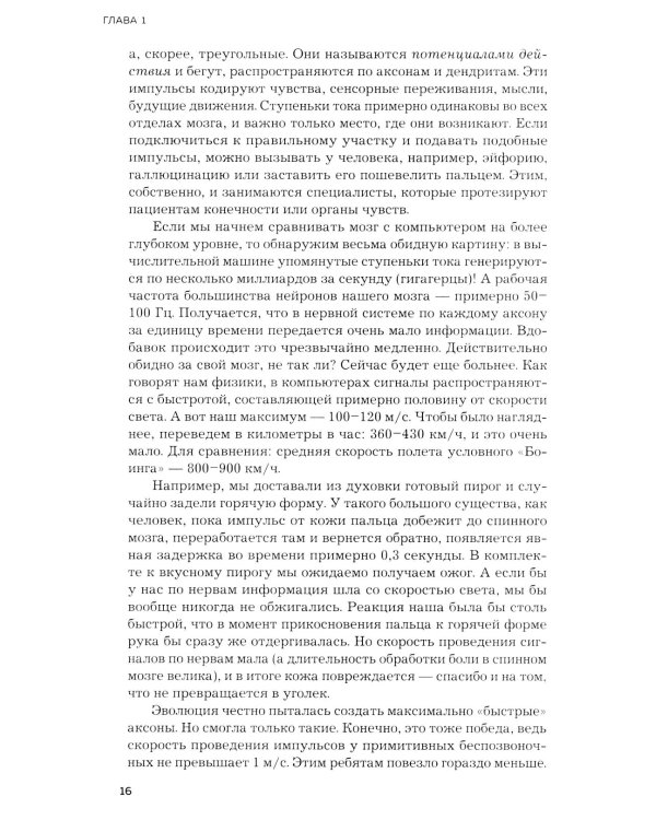 Мозг и его потребности. 2.0 от питания до признания