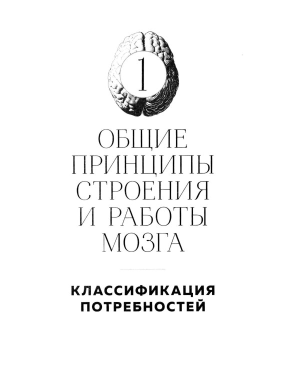 Мозг и его потребности. 2.0 от питания до признания