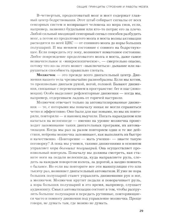 Мозг и его потребности. 2.0 от питания до признания