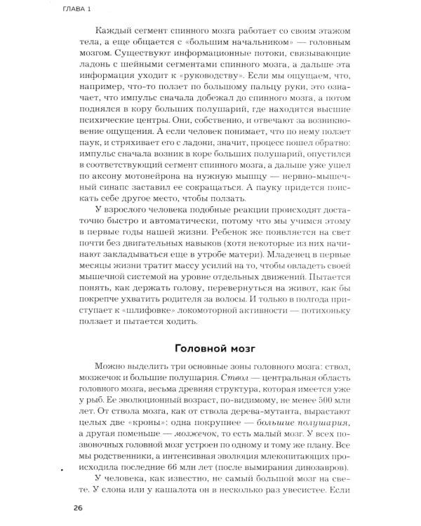 Мозг и его потребности. 2.0 от питания до признания