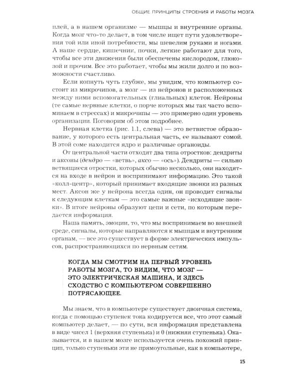 Мозг и его потребности. 2.0 от питания до признания