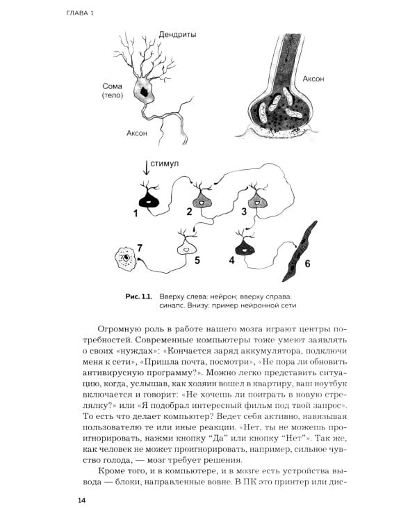 Мозг и его потребности. 2.0 от питания до признания